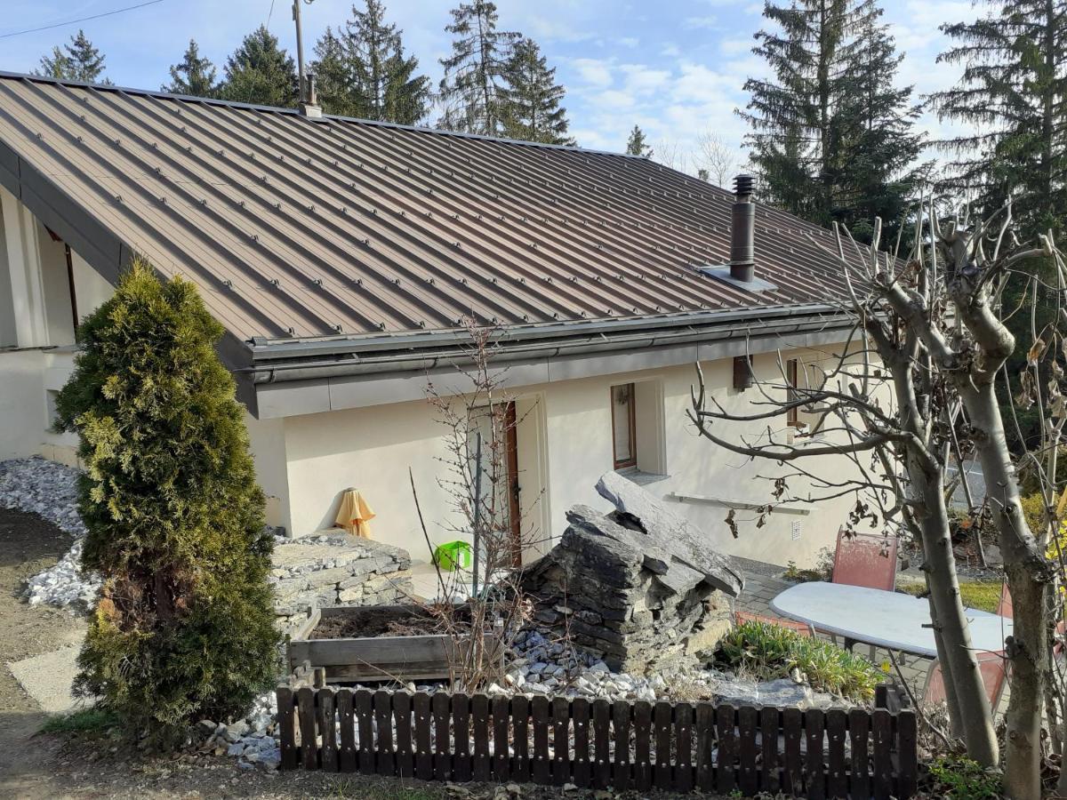 Les Loulou Apartamento Savièse Exterior foto