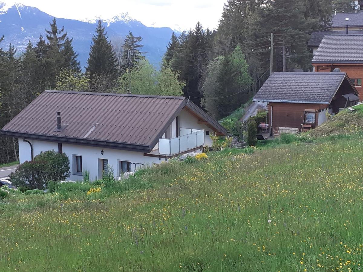 Les Loulou Apartamento Savièse Exterior foto