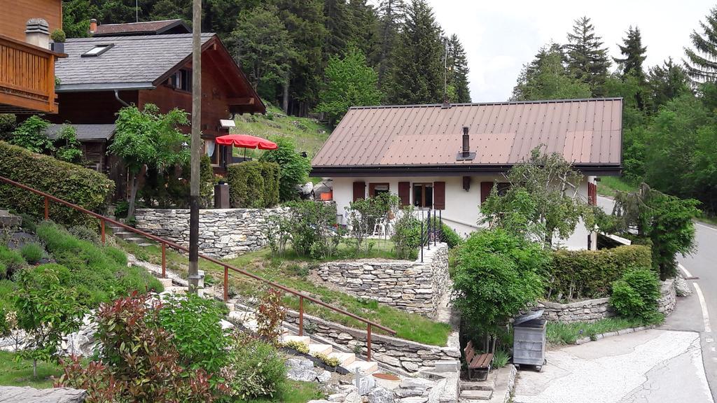 Les Loulou Apartamento Savièse Exterior foto